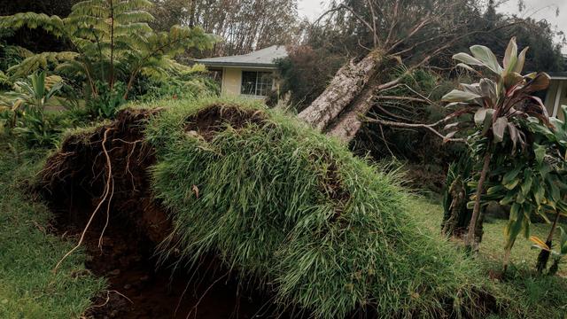 Gefährlicher Sturm: Hurrikan «Lala» zerstört mehr als 100 Häuser auf Hawaii
