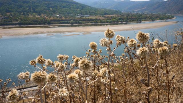 Kühlere Temperaturen: Regen und Temperaturen unter 30 Grad