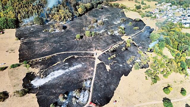 Feuer: Wald- und Flächenbrand in Waldaschaff gelöscht