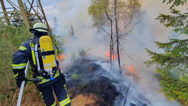 Feuer wird größer: Waldbrand bei Schramberg breitet sich rasch aus