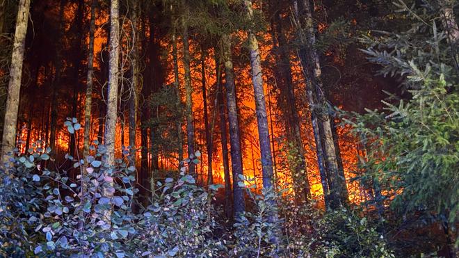 Feuer wird größer: Wegen der Wetterlage und starken Windes rechneten die Einsatzkräfte schon im Vorfeld mit einer schnellen Ausbreitung des Brandes.