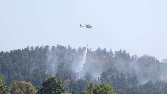 Bild: Brände: Waldbrand-Einsatz in Plauen wird zurückgefahren - Kontrollen
