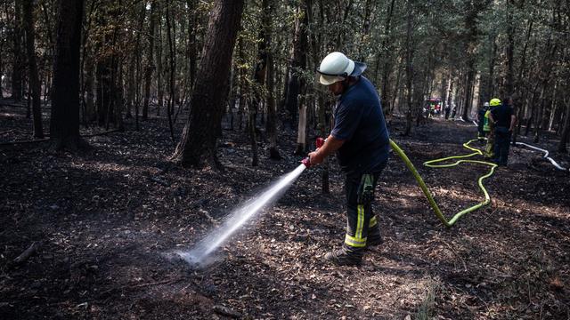 Waldbrände: Waldbrand im Hürtgenwald: Lage hat sich weiter entspannt