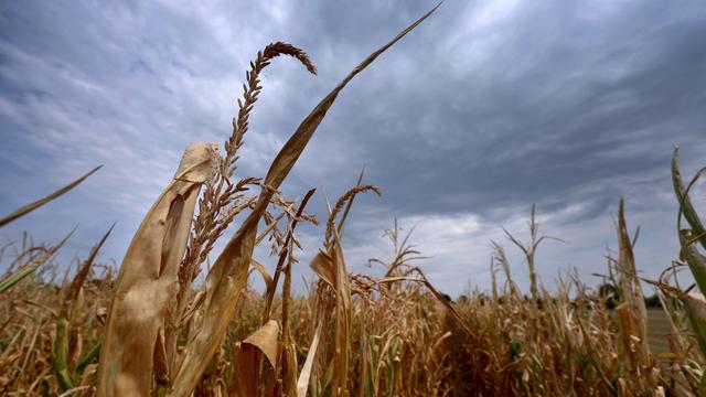 Wettervorhersage für Bayern: Wo kommt der erlösende Regen?