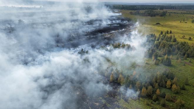 Großbrand: Rauchschwaden ziehen über den Waldbrand im Hohen Venn.