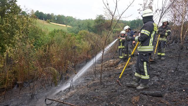 Waldbrände: Gewerkschaft: Feuerwehren besser auf Waldbrände vorbereiten