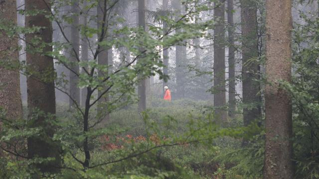 Naturschutzgebiet in Flammen: Hohes Venn: Schneisen sollen Deutschland vor Feuer schützen