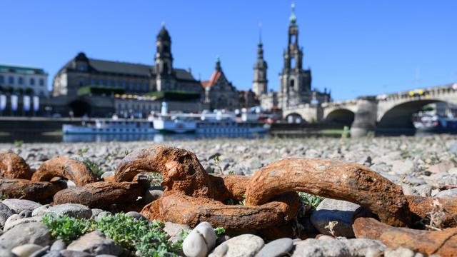 Fähren auf der Elbe: Niederschläge bringen Dresdner Fähren zurück auf die Elbe