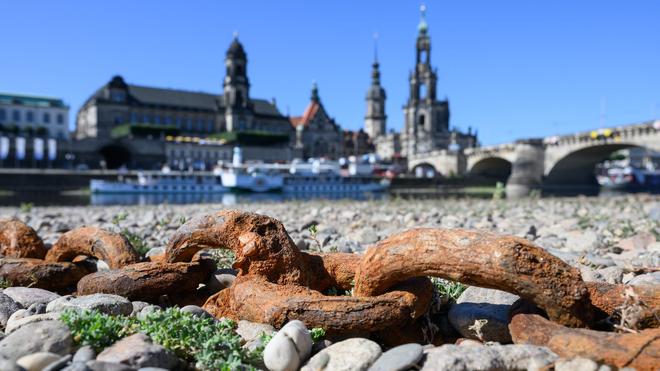 Fähren auf der Elbe: Niederschläge bringen Dresdner Fähren zurück auf die Elbe. (Archivbild)