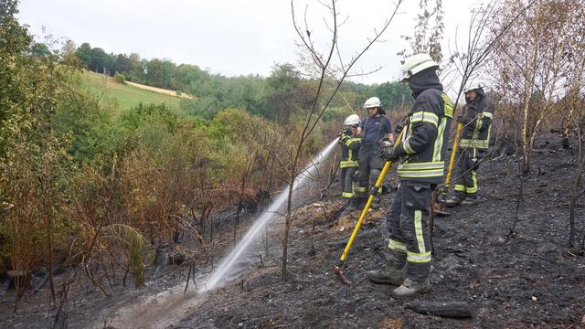 Brandbekämpfung: Schwickert: Klimawandel macht Waldbrände zur Herausforderung