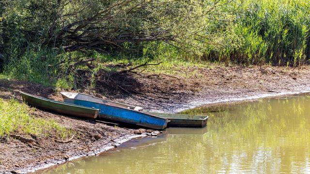 Niedrigwasser: Spree verliert Wasser: Behörden greifen stärker ein