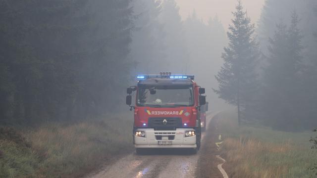 Naturschutzgebiet in Flammen: Waldbrand im Hohen Venn tobt weiter - Brandgeruch bis Köln