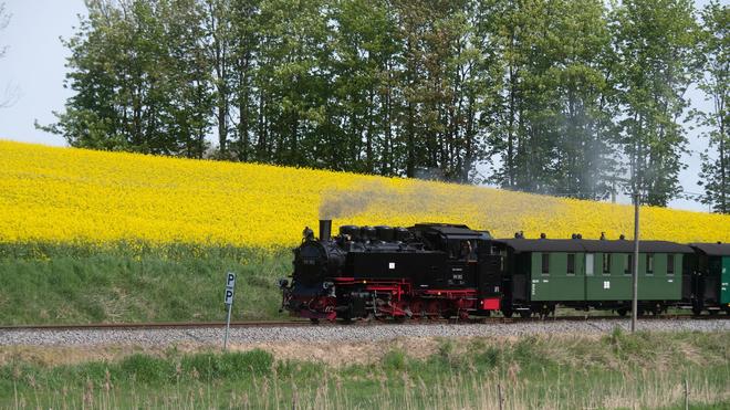 Polizei-Einsatz: Der Autofahrer hatte die Kleinbahn ganz offensichtlich übersehen. (Archivbild)