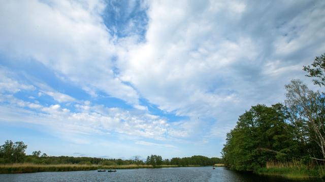 Versunkenes Auto: Knochen in Peene gefunden - Vermisstenfall von 1994 geklärt?