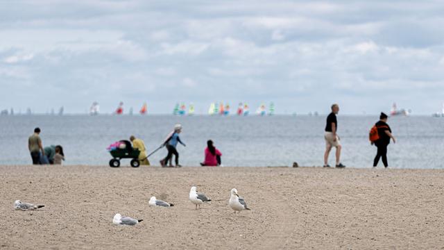 Wetter: Regen und Gewitter am Morgen – DWD erwartet Auflockerung
