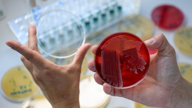 Lebensmittel: Behörde deckt auf: Blei im Zimt und gefakte Dubai-Schokolade