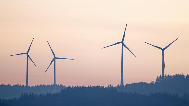 Sabotage suspected: Power cables of wind park damaged