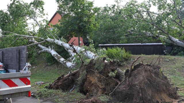Bild: Unwetter über Deutschland: Was ist ein Tornado und wie wird er bestätigt?