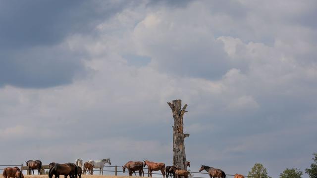 Wetterbericht: Wo es heute im Südwesten gewittern könnte