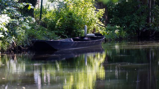 Dahme-Spreewald Bans Water Extraction in Six Municipalities Amid Drought