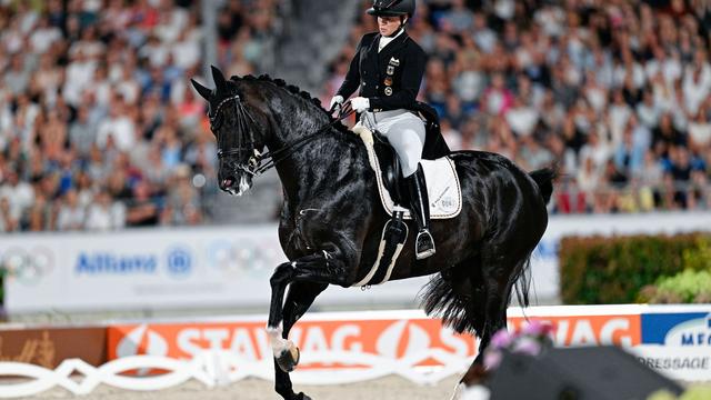 Reit-Weltmeisterschaft: Pferdesport unter Beobachtung: Von Kritikern und «Stalkern»