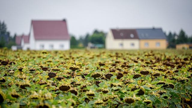 Wetter: Regen und Gewitter – ab Sonntag wird das Wetter freundlicher