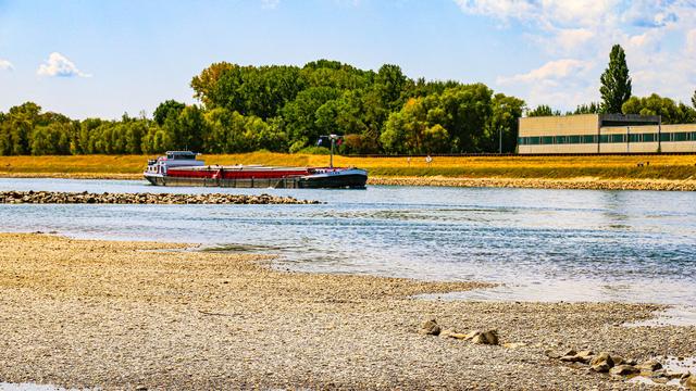 Trockenheit und später Regen: Später Regen hilft Kohlarten und Äpfeln – Schäden bleiben