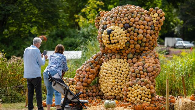 Ausstellung in Ludwigsburg: Hier kommen Kürbisfans auf ihre Kosten