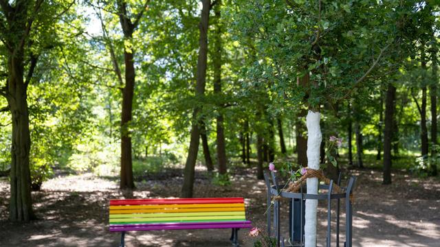 Nach CSD-Anschlag: Schutz queerer Menschen: Hubig will Grundgesetz ändern