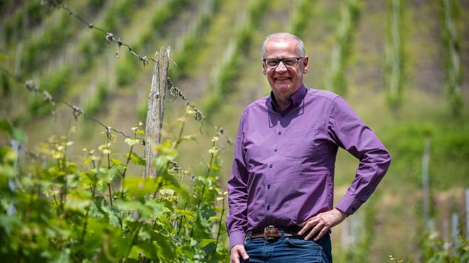 Weinbau: Günther Jauch ist dem Weinbau schon seit seiner Kindheit verbunden. (Archiv)