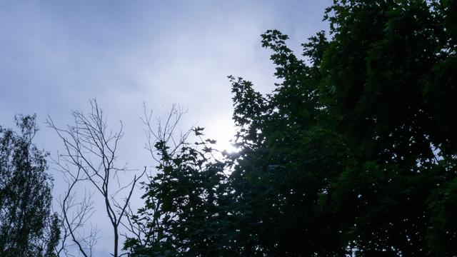 Wetteraussichten: Neue Woche mit sonnigen Aussichten