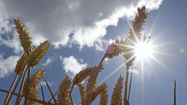 Wetteraussichten: Sonne zeigt sich zum Wochenstart