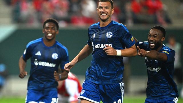Sieg bei Viertligist Halle: Doppelter Dzeko: Schalke müht sich im Pokal weiter