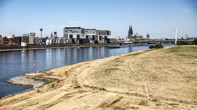Hintergrund noch unklar: Mehrere Schüsse in Köln – Polizei nimmt Verdächtigen fest