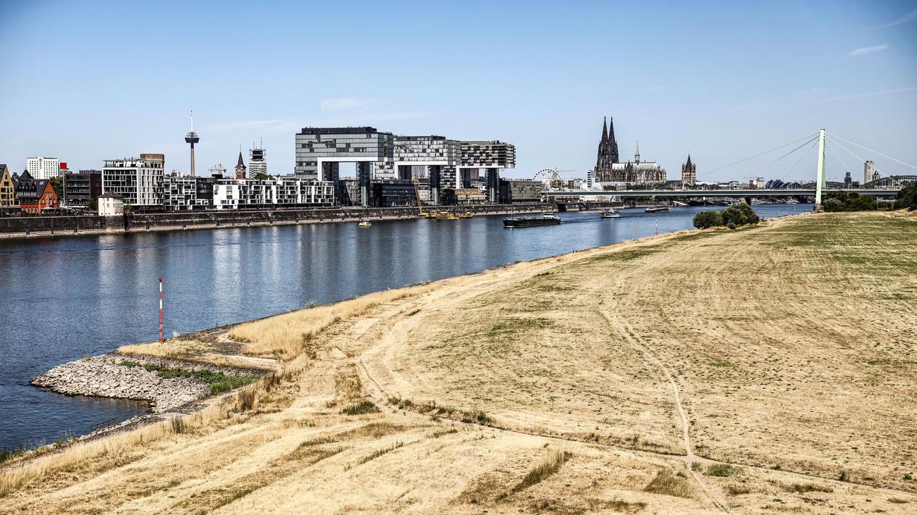 Hintergrund noch unklar: Mehrere Schüsse in Köln – Polizei nimmt Verdächtigen fest