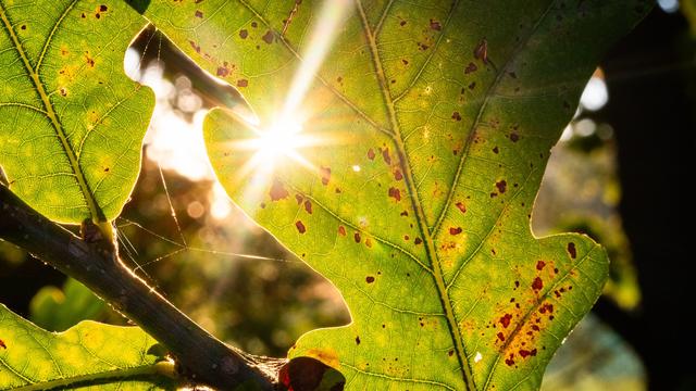 Wetter: Sonnige Tage im Norden – Donnerstag Gewitter möglich