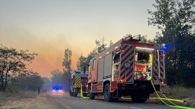 Waldbrände: Deutsche Feuerwehrleute bekämpfen Waldbrand in Serbien