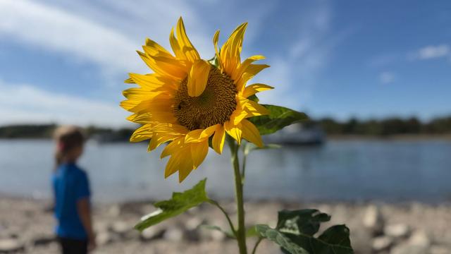 Bisschen Niederschlag: Etwas Regen und maximal 24 Grad in Hessen