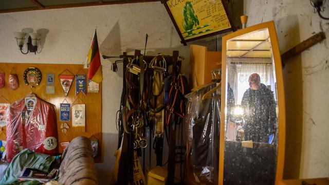 Houses, debts, and a crocodile: How Saxony-Anhalt inherits property