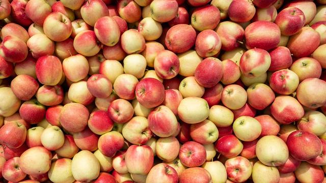 Haupternte beginnt: Zehn Fakten zum heimischen Apfel