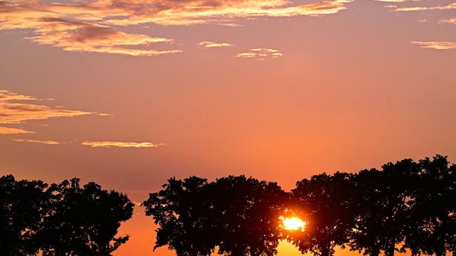 Fotografie: Bilder des Tages