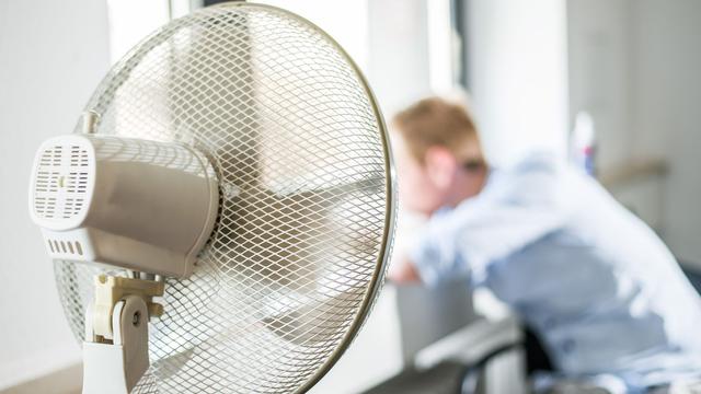 Cool bleiben im Job: Früher ran, früher raus - Wie Firmen gegen die Hitze kämpfen