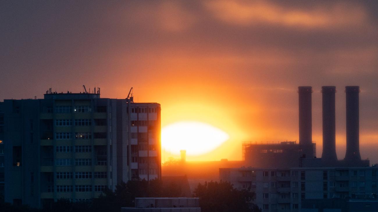 Umbaumaßnahmen: Senat verteidigt Baumfällung am Heizkraftwerk Charlottenburg