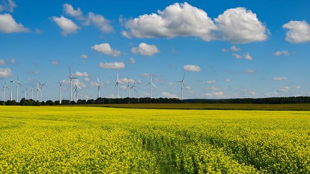 Wetter: Viel Sonne, dann Schauer: Wochenende bringt Wetterwechsel