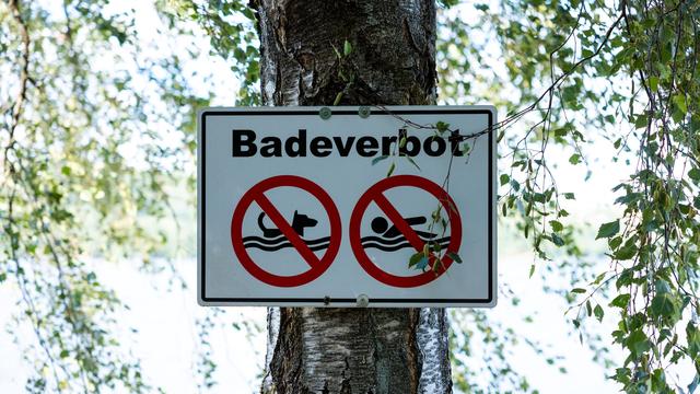 Oberfranken: Badeverbot nach Fischsterben in Badeweiher wird aufgehoben