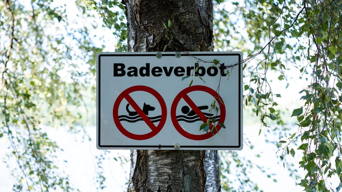 Oberfranken: Badeverbot nach Fischsterben in Badeweiher wird aufgehoben