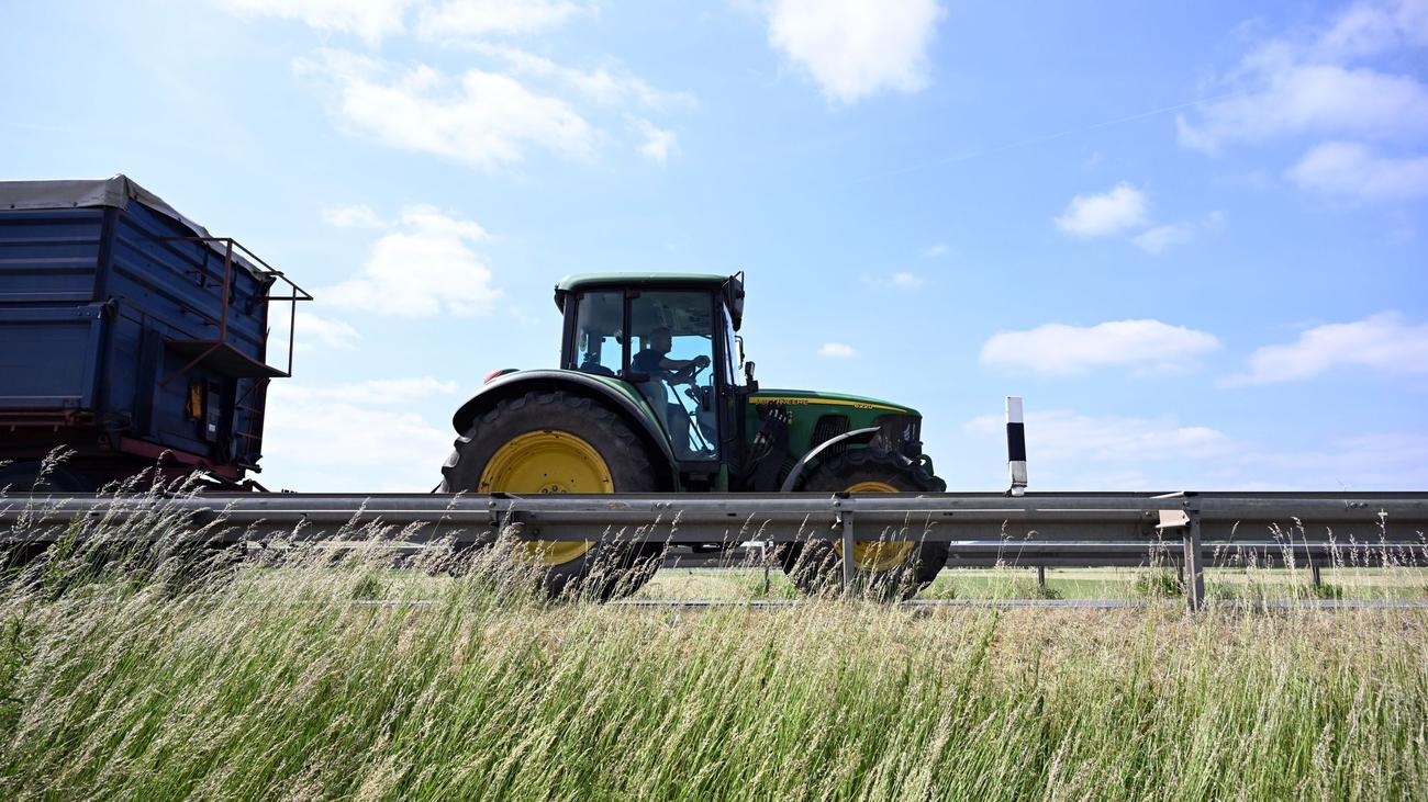Ernte in Niedersachsen: Gefahren durch Ernte - darauf sollten Autofahrer achten