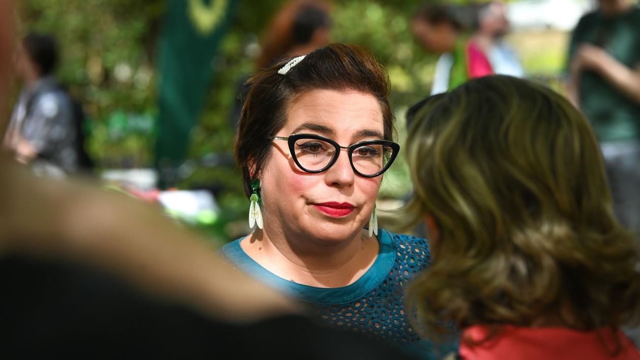 Vor der Landtagswahl: Grüne berichten von Desinformations-Kampagne