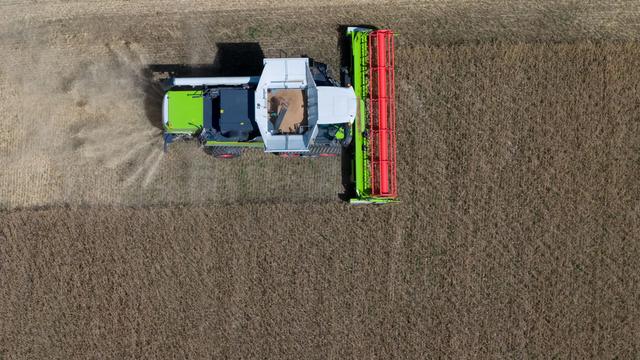 Landwirtschaft: Trockenheit beschert Bauern schlechte Getreideernte