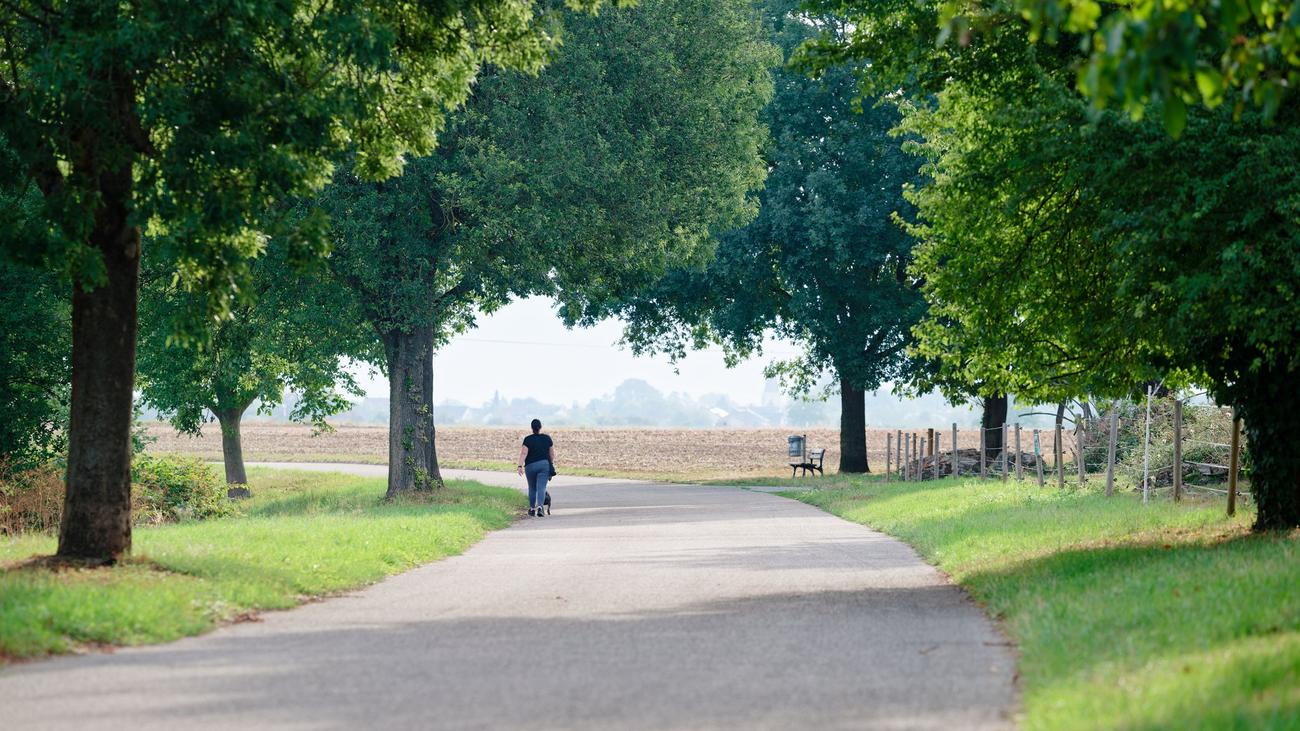 Wetter-Vorhersage: Unwettergefahr ab Samstag vorbei - Schauer möglich
